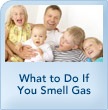 smell gas module